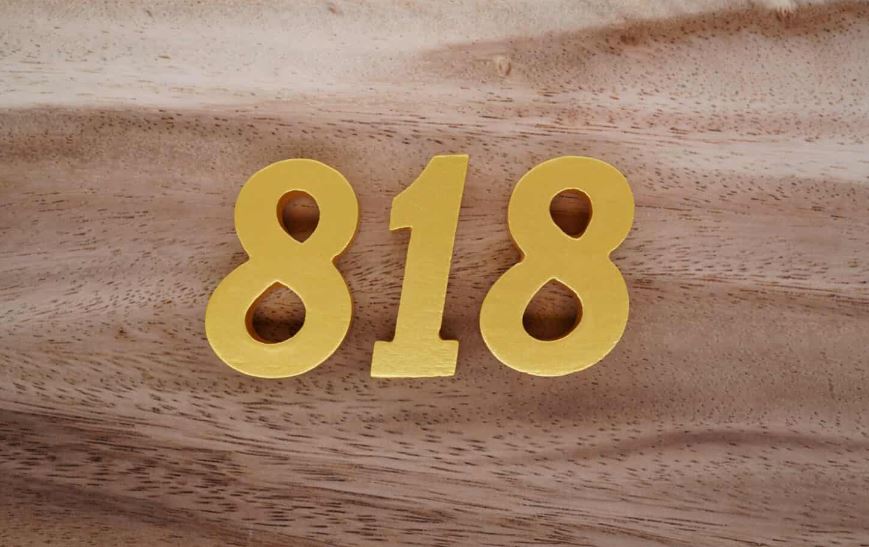 818 MEANING